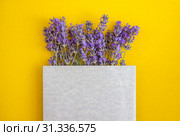 Composition of lavender flowers and gray envelope of paper on a yellow-orange background. Flat lay. Copy space. Стоковое фото, фотограф Tetiana Chugunova / Фотобанк Лори