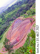 Mauritius. "Valley of 23 colors of the Earth" park in Mare-aux-Aiguilles (2012 год). Стоковое фото, фотограф Куликов Константин / Фотобанк Лори