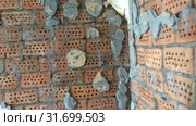 Repair in the apartment. Dismantling of an old wall covering under which to be a camp from a red brick. Стоковое видео, видеограф Куликов Константин / Фотобанк Лори