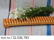Рубель для глажки и ромашки. На домотканой дорожке. Стоковое фото, фотограф Анатолий Матвейчук / Фотобанк Лори