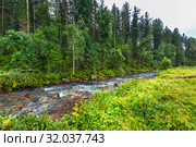 Река текущая через таёжные алтайские леса. Река Куюм, Чемальский район, Республика Алтай, Южная Сибирь, Россия (2019 год). Стоковое фото, фотограф Евгений Мухортов / Фотобанк Лори
