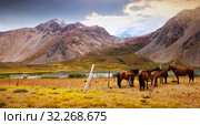 Andes near Las Lenas. Стоковое фото, фотограф Яков Филимонов / Фотобанк Лори