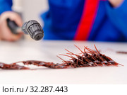 Young contractor doing pest control at home. Стоковое фото, фотограф Elnur / Фотобанк Лори