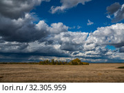Осенний пейзаж. Стоковое фото, фотограф Меркулова Наталья Геннадьевна / Фотобанк Лори