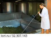 Female winemaker controlling crushing of grapes. Стоковое фото, фотограф Яков Филимонов / Фотобанк Лори