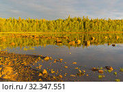 Берег Белого моря в лучах вечернего солнца. Середина прилива. Карелия, Россия, конец июня. Стоковое фото, фотограф Сергей Рыбин / Фотобанк Лори
