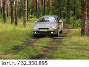 Car in wood on glade. Стоковое фото, фотограф Юрий Бизгаймер / Фотобанк Лори