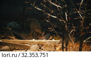 Dead soldier lying on the iron wire near the residential building with lights up. Стоковое видео, видеограф Константин Шишкин / Фотобанк Лори
