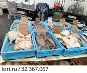 Рыбный прилавок на продуктовой ярмарке выходного дня на центральной площади Владивостока - площади Борцов за власть Советов осенью (2019 год). Редакционное фото, фотограф Овчинникова Ирина / Фотобанк Лори