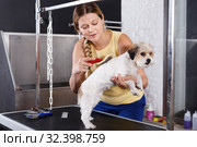 Smiling female grooming cute havanese dog at pet salon. Стоковое фото, фотограф Яков Филимонов / Фотобанк Лори