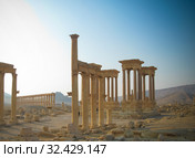 Panorama of Palmyra columns, Tetrapylon, ancient city, destroyed now, Syria (2011 год). Стоковое фото, фотограф Сергей Майоров / Фотобанк Лори