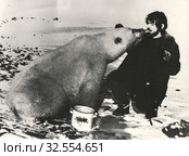 Белый медведь берет еду изо рта полярника. Редакционное фото, фотограф Retro / Фотобанк Лори