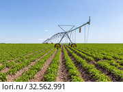 Crop Irrigation center pivot sprinkler system. Стоковое фото, фотограф Ольга Сейфутдинова / Фотобанк Лори