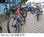 Множество велосипедов стоят на подножках у входа в здание (2019 год). Редакционное фото, фотограф Вячеслав Палес / Фотобанк Лори