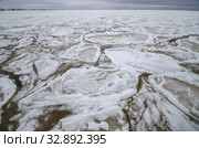 Образование льда на море. Круглые льдины. Стоковое фото, фотограф Яковлев Сергей / Фотобанк Лори