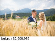 Groom hugs bride tenderly in wheat field somewhere in Slovenian countryside. Стоковое фото, фотограф Matej Kastelic / Фотобанк Лори