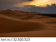 Sand dunes in Gobi Desert at sunset. Стоковое фото, фотограф Михаил Коханчиков / Фотобанк Лори