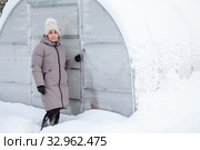 Senior woman portrait standing knee-deep in snow near her fiberglass greenhouse at winter season. Стоковое фото, фотограф Кекяляйнен Андрей / Фотобанк Лори