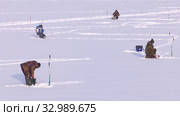 Рыбак на льду. Соревнования по рыбалке с мормышкой со льда. Fisherman on the ice. Competitions in fishing with jig from ice. (2020 год). Редакционное видео, видеограф Евгений Романов / Фотобанк Лори