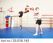 Muay thai sportsman fighting at boxing ring. Стоковое фото, фотограф Дмитрий Калиновский / Фотобанк Лори