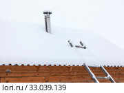 Chimney pipe of timber washhouse covered with snow on rooftop, wooden ladder leaned against a wall. Стоковое фото, фотограф Кекяляйнен Андрей / Фотобанк Лори