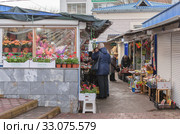 Рынок Сенной. Краснодар. Пожилые женщины продают живые цветы и всякую всячину. 02.2020. Редакционное фото, фотограф Игорь Тарасов / Фотобанк Лори