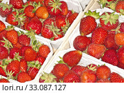strawberries. Стоковое фото, фотограф Hans-Joachim Schneider / PantherMedia / Фотобанк Лори