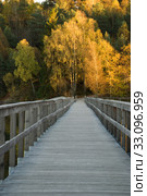 path over sea in autumn. Стоковое фото, фотограф Nadja Blume / PantherMedia / Фотобанк Лори