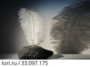 feather. Стоковое фото, фотограф Ines Weiland-Weiser / PantherMedia / Фотобанк Лори