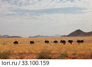 straits in the naukluft mountains. Стоковое фото, фотограф Willy Brüchle / PantherMedia / Фотобанк Лори