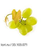 Green grapes. Стоковое фото, фотограф Artur Wojteczek / PantherMedia / Фотобанк Лори