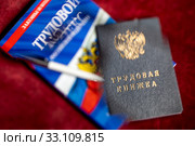 Трудовая книжка, Трудовой кодекс Российской Федерации и ручка лежат на столе. Стоковое фото, фотограф Николай Винокуров / Фотобанк Лори