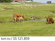 echoing hooge. Стоковое фото, фотограф Ines Weiland-Weiser / PantherMedia / Фотобанк Лори