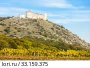 ruins of Falkenstein Castle with vineyard in autumn, Lower Austria, Austria. Стоковое фото, фотограф Richard Semik / PantherMedia / Фотобанк Лори