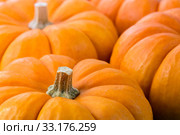 Pumpkin background. Стоковое фото, фотограф Mariusz Blach / PantherMedia / Фотобанк Лори