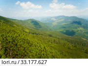 Beautiful meadows on  mountains. Стоковое фото, фотограф Volodymyr Melnyk / PantherMedia / Фотобанк Лори