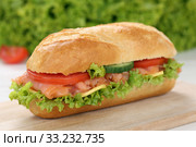 Sandwich baguette topped with salmon fish. Стоковое фото, фотограф Markus Mainka / PantherMedia / Фотобанк Лори