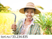 Traditional mature Burmese female farmer. Стоковое фото, фотограф Wong Sze Fei / PantherMedia / Фотобанк Лори