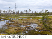 High voltage power line passing through tundra swampland in north of Russia. Стоковое фото, фотограф Кекяляйнен Андрей / Фотобанк Лори