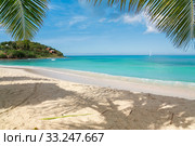 Tropical beach. Стоковое фото, фотограф Mariusz Blach / PantherMedia / Фотобанк Лори
