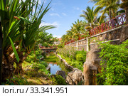 Beautiful picture of a tropical paradise, scenic resort, palm trees, sea. Стоковое фото, фотограф Evgenii Mitroshin / Фотобанк Лори