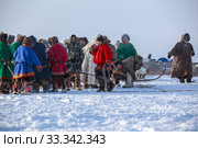 Nadym, Russia - February 23, 2019: Yamal, open area, tundra,The extreme north,  Races on reindeer sled in the Reindeer Herder's Day on Yamal, Sporting activity.reindeer herders throws lasso. editorial. Редакционное фото, фотограф Evgenii Mitroshin / Фотобанк Лори