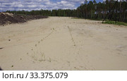 Рекультивация участка добычи нефти. Посадка саженцев сосны. Reclamation of an oil production site. Planting pine seedlings. Стоковое видео, видеограф Евгений Романов / Фотобанк Лори