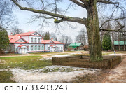 Старый дуб в Абрамцево an old oak tree in Abramtsevo (2020 год). Редакционное фото, фотограф Baturina Yuliya / Фотобанк Лори