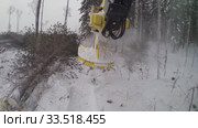 Механизированная рубка леса. Валочно-пакетирующая машина John Deere 903K в работе. Mechanized felling clearing. John Deere 903K feller buncher at work. Стоковое видео, видеограф Евгений Романов / Фотобанк Лори