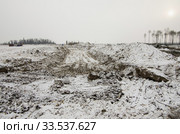 Лесозаготовка. Участок вырубки леса зимой. Timber cutting. The site of deforestation in winter. Стоковое фото, фотограф Евгений Романов / Фотобанк Лори