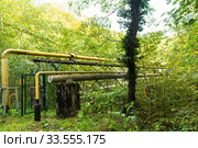 Gazprom natural gas pipeline in dense forests of the Caucasus Mountains, Russia. Стоковое фото, фотограф Ирина Мойсеева / Фотобанк Лори