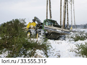 Механизированная вырубка леса. Трелевочный трактор John Deere 748H в работе. Mechanized felling clearing. John Deere 748H skidder at work. Стоковое фото, фотограф Евгений Романов / Фотобанк Лори