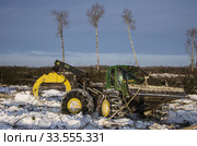 Механизированная вырубка леса. Трелевочный трактор John Deere 748H в работе. Mechanized felling clearing. John Deere 748H skidder at work. Стоковое фото, фотограф Евгений Романов / Фотобанк Лори