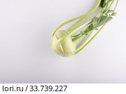 Fresh kohlrabi, close-up isolated on white background. Стоковое фото, фотограф Evgeny Miller / Фотобанк Лори